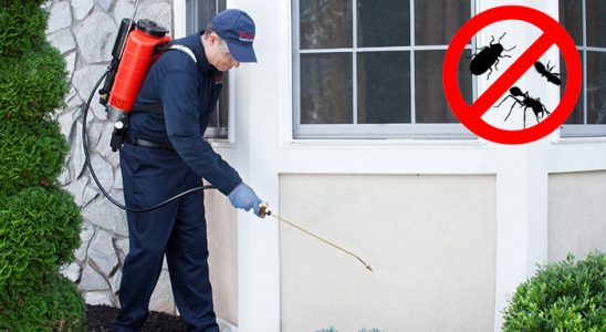 Oğuzlar Böcek ve Haşere İlaçlama böcek ilaçlama ve haşere kontrolü — ilaclama-tr.com
